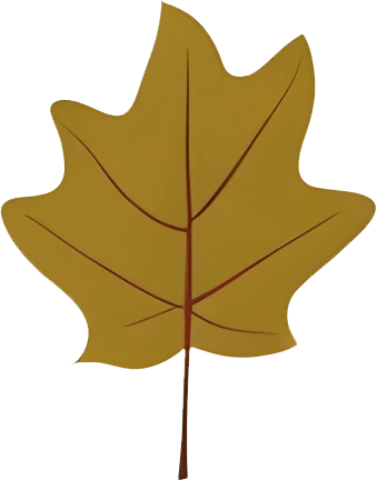 rendy Foliage Design, Leaf PNG Download, Tropical different type exotic leaves set_3.webp